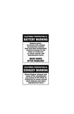 SKYTRAK 10042 10054 6036 6042 8042 Telehandler Operators Manual 31200749