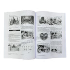 Caterpillar Ser 2 815F 816F Compactor Power Train Disassem Assem Service Manual