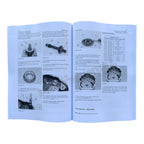 Manual de servicio de desmontaje y montaje del tren de potencia de la niveladora Caterpillar 120H y 135H RENR4160