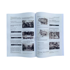 Manual de servicio del cargador Caterpillar 236D 242D 246D 262D Suministro del motor Desmontaje y montaje