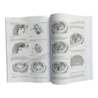 Caterpillar D6R XL series 3 service manual SN 5LN- full set 16 books+2schematics