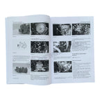 Caterpillar 236 246 248 Skid Steer Loader Power Train Service Manual DisassAssem