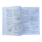 Manual de servicio del motor Caterpillar 3034 para minicargadoras 236, 246, 248, 252 y 262 *Enviar número de serie