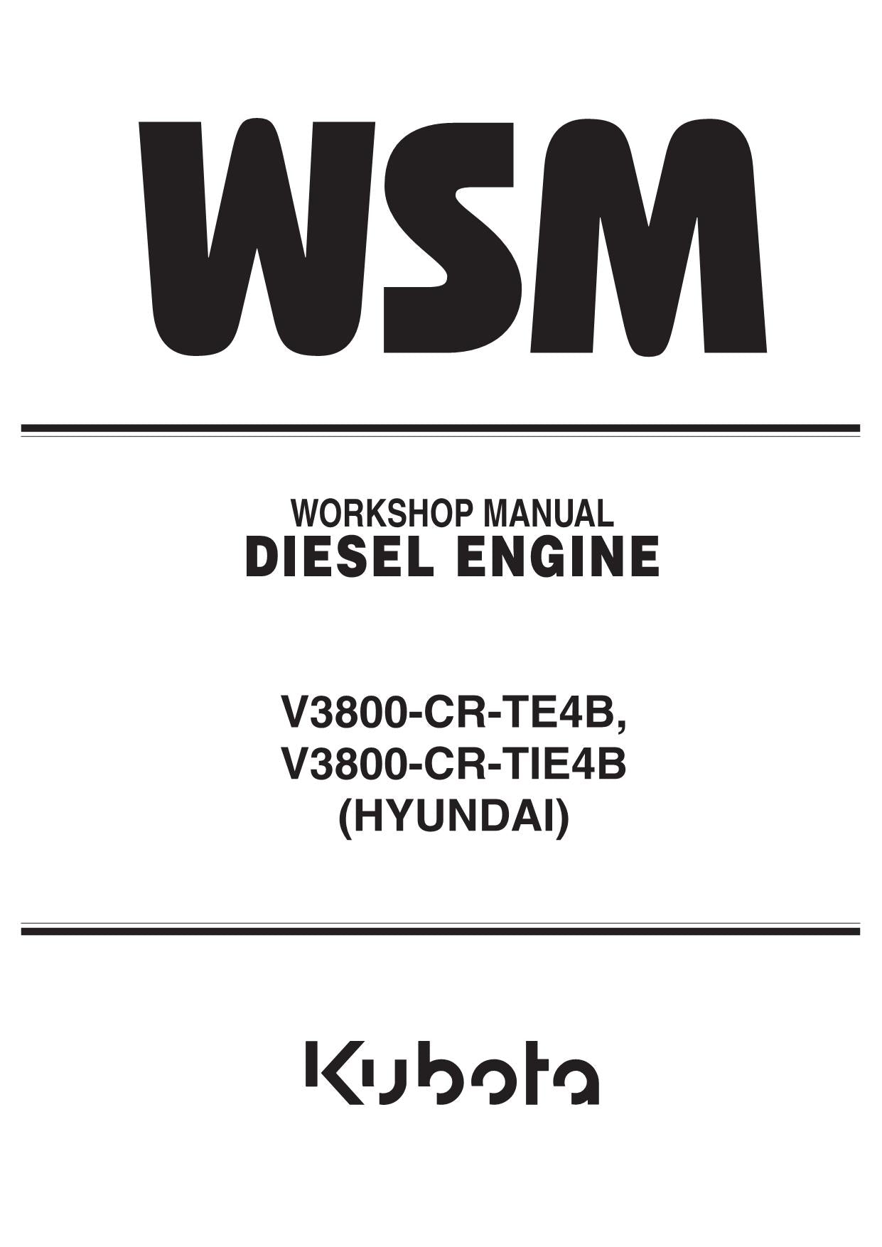 Hyundai KUBOTA V3800 Workshop ENGINE Hardcover Repair Service Manual